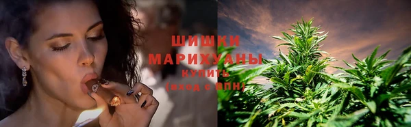 альфа пвп Нефтегорск