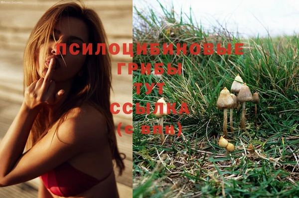 MDMA Premium VHQ Нея