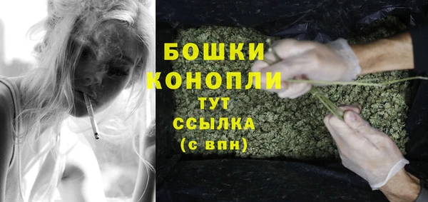 дмт Новодвинск